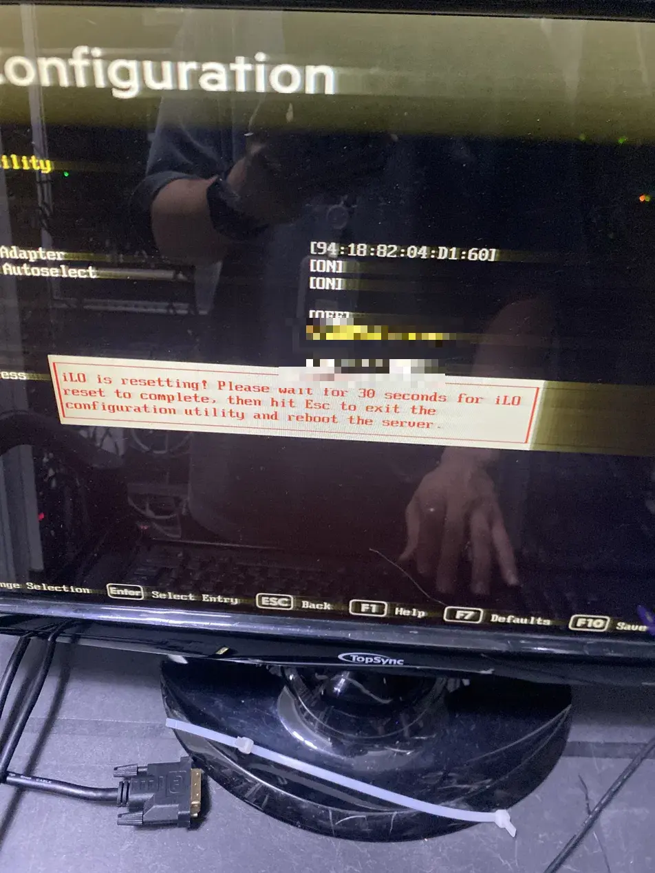 iLO is resetting 안내 화면 — 30초 대기 후 Esc (민감정보 모자이크)